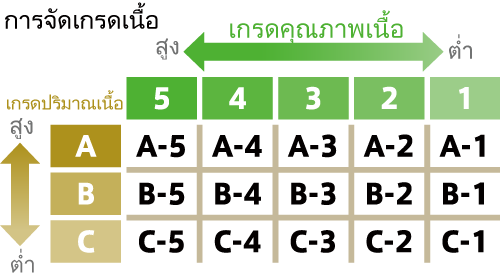 rating